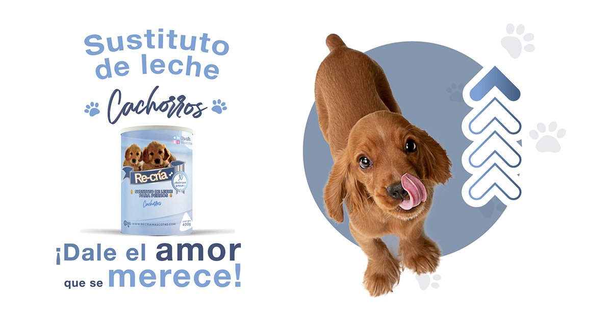 Leche para Cachorros, perritos recién nacidos